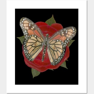 Rose Flower Monarch Butterfly Posters and Art